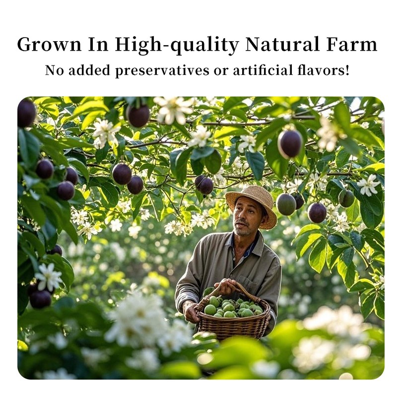 Freeze-Dried Passion Fruit Chunks 3.6 oz ，Sugar Free，No Additives,Fruit slice