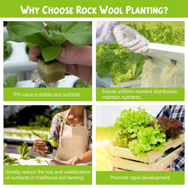 72 Pcs 1.2-Inch Rockwool Cubes with Net Cups and Self-Watering
