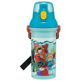 Skater PSB5SANAG-A Water Bottle, 16.9 fl oz (480 ml), For Children, Antibacterial, Plastic, Child-Friendly, Lightweight, One-Piece Dress, Made in Japan
