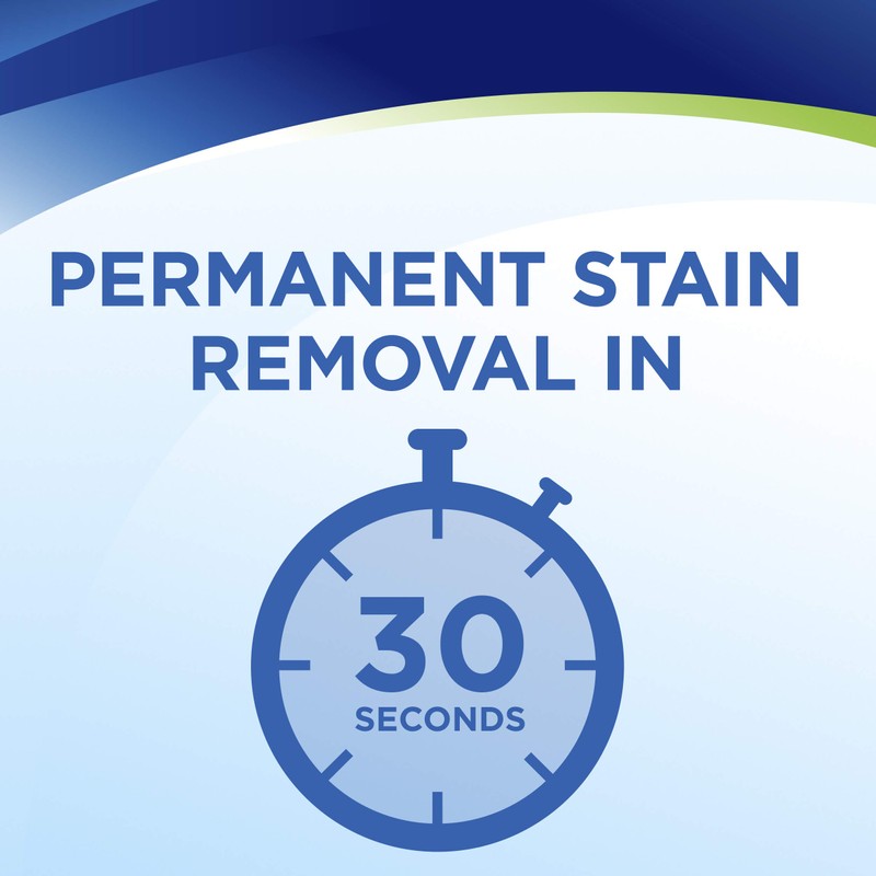 Bissell Woolite InstaClean Pet Full Size Machine Formula, 32 oz,