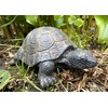 17cm Life Like Tortoise Figurine Ornament