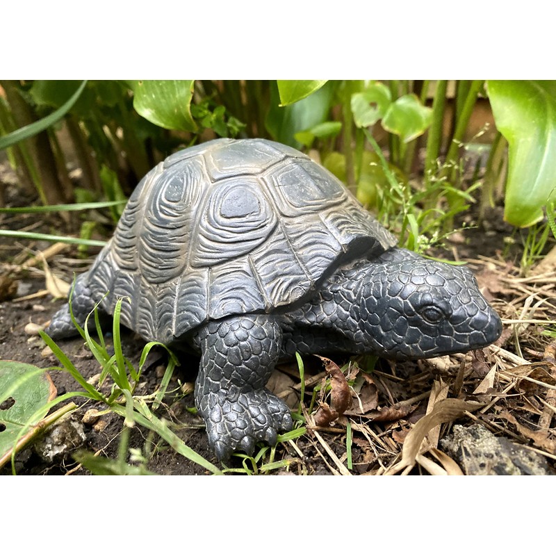 17cm Life Like Tortoise Figurine Ornament