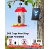 Hummingbird Feeder with Camera Solar Powered W/32G Card, AI Identify