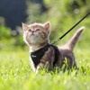 Dooradar Cat Harness and Leash Set, Escape Proof Safe Adjustable