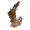 Guinea fowl feathers, approx. 100 pc, nature, 3g