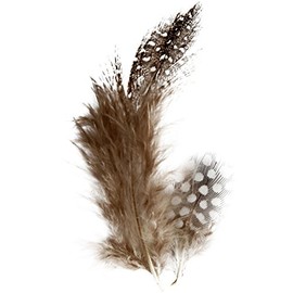 Guinea fowl feathers, approx. 100 pc, nature, 3g