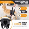 PAWIVID Adjustable Dog Harness for Rear Leg - Support Harness