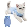 Cat Bodysuit After Surgery Cat, Cat Bodysuit for Cat Surgery,