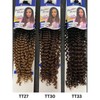 Freetress Braid Crochet Hair - Water Wave Bulk 22" -