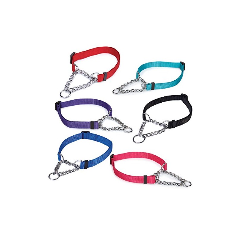 Guardian Gear Choke-Style Adjustable Martingale Dog Collar