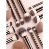 Set de brochas de maquillaje mini para principiantes, set de