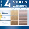 Schwarzkopf Blonde Hair Dye