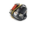 Alternator/Ignition 6 V 15 W for Maxi Moped