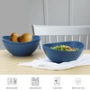 PYRMONT Serving Bowls,Plastic Bowl,65 Oz Salad Bowls,Big Bowl for Soup