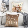Hello Winter Brown Decorative Throw Pillow Covers 18 x 18