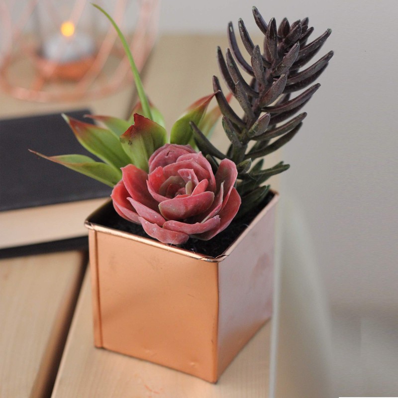 Northlight 7" Artificial Potted Mixed Succulent Arrangement