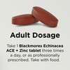 Blackmores Echinacea ACE + Zinc | Supports Healthy Immune System