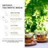 Life Plus Style Gourmet Tea Now Organic Earl Grey Black