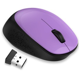LeadsaiL Wireless Mouse for Laptop, 2.4GHz Silent USB Mouse, Slim Optical Mouse with 3 Buttons, 1600 DPI, Works with Windows, Mac, Chrome OS, Linux - Black and Purple