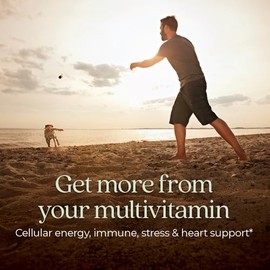New Chapter Men's Multivitamin for Immune, Stress, Heart + Energy Support with Fermented Nutrients - Every Man's One Daily, Made with Organic Vegetables & Herbs, Non-GMO, Gluten Free - 72 ct