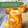 Third Street Chai Organic Peach Black Tea Concentrate 6-Pack, Premium