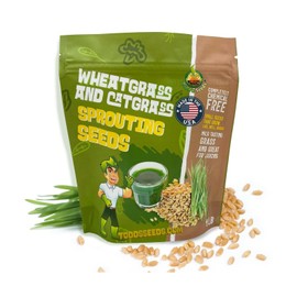Todd's Seeds Wheatgrass Seeds; Hard Red Winter Wheat, Non-GMO, Chemical Free, High Germination (One Pound)