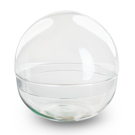 urbanjngl. com - Ball Glass - Glass Bell - Closed Terrarium ↑ 28 cm