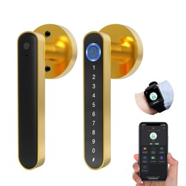 eLinkSmart Fingerprint Door Knob Lock, [2024 Upgraded Version] Keyless Entry Door Lock with Keypad Handle, Smart Electronic Biometric Security Code Door Lock for Bedroom Interior Front Door - Gold