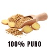 BioHerb Extracto de Jengibre 100 Puro (Rico en Vitamina C,