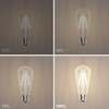 Ralbay Dimmable E26 Vintage LED Edison Bulbs 60 Watt Equivalent
