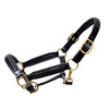 Aces Equine LEATHER HORSE HEADCOLLAR HALTER FULLY RAISED AND PADDED