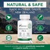 Plantonin - Palmitoylethanolamide Pea Supplement 600mg - Micronized Pea Supplements