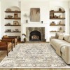 QD-Udreamy 6x9 Area Rugs - Machine Washable Area Rugs 6x9