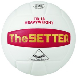 Tachikara Tb-18 The Setter Weighted Training Volleyball