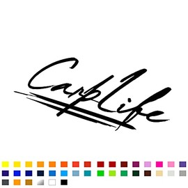 Carp Life Fishing Car Sticker, Fishing Decals for Truck Van Boat Tackle Box, Fishing Stickers for Cars, Funny Fishing Stickers, Vinyl Decals, Fishing Accessories, 200mm