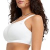 Champion Women's Spot Comfort Full Support Sports Bra, White, 36DD