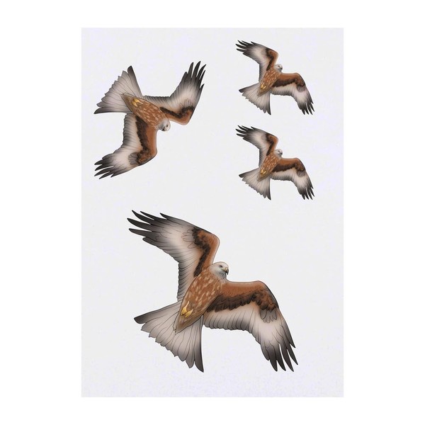 4 x 'Soaring Red Kite' Temporary Tattoos - Water Resistant,