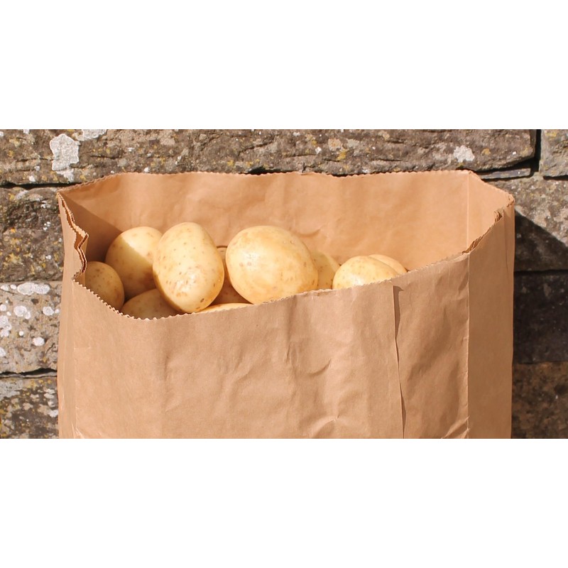 Paper Potato Sacks For Storage Container - Pack of 2