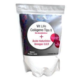 Colágeno Tipo Ii Ácido Hialurónico Frutos Rojos 1 Kg Vitlife