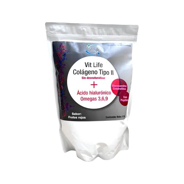 Colágeno Tipo Ii Ácido Hialurónico Frutos Rojos 1 Kg Vitlife