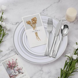 BESTVIP 300PCS Plastic Dinnerware Set (50 Guests), Silver Disposable Plates for Party, Wedding, Christmas, Anniversary, Includes: Dinner Plates, Dessert Plates, Cups, Spoons, Forks and Knives