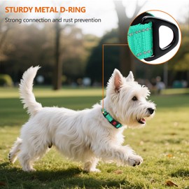 Taglory Reflective Nylon Dog Collar with Safety Buckle, Adjustable Pet Collars with Soft Neoprene Padding for Puppy Dogs, XS, Turquoise