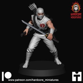 Character White Storm Ninja 32mm army builder set 1 3d printed minis tabletop hardcore mi
