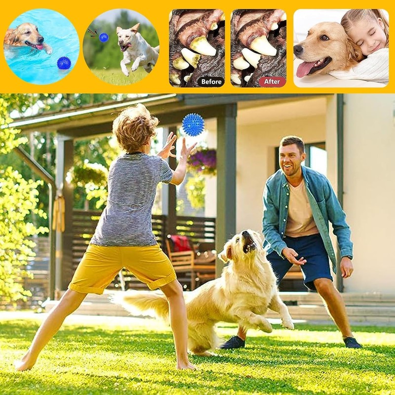 Juego de Juguetes para Perros de 10 Piezas - Juguetes