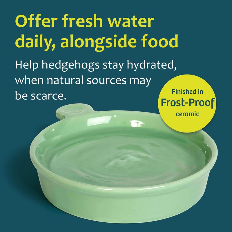 Jacobi Jayne Hedgehog Water Bowl Hedgehog Water Dish - Weather