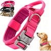 Collar de Perro Táctico, Collar para Perro de Nailon Militar