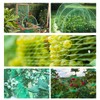 KINGLAKE GARDEN Bird Netting 13 ft x 49 ft Garden