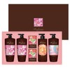 LG Household & Health Care Shampoo Body Premium Set / 엘지생활건강 정성담은 샴푸바디 프리미엄 세트