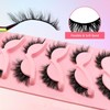 Cat Eye False Eyelashes, 5 Pairs Natural Fluffy Curling Faux