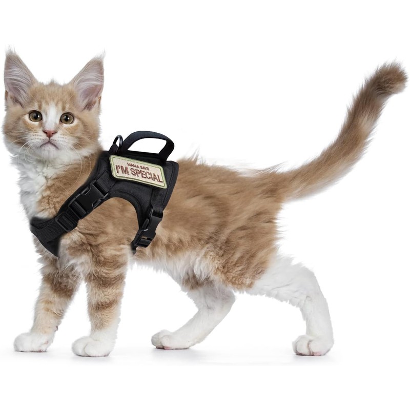 Arnés táctico para gatos para caminar a prueba de escapes,